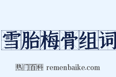 雪胎梅骨组词是什么意思的图片